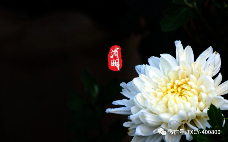 微信圖片_20220405155430.png 微信圖片_20220405155430.png